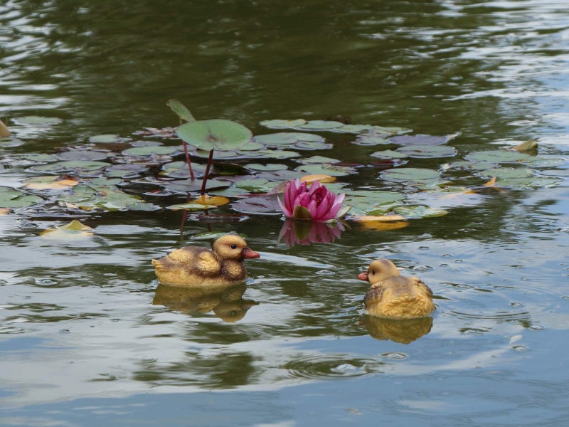 Rmdusk Floating Resin Duck Figurine Pond DÃ©cor Garden Lawn Patio Outdoor Statue Black Yellow (Set of 2) - Image 3
